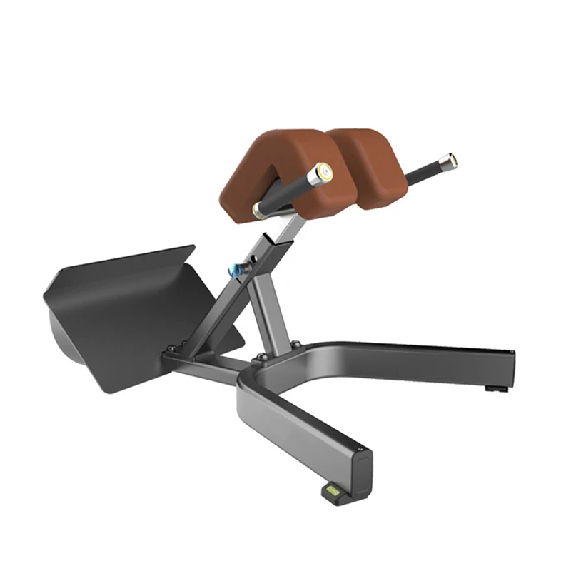 
Color Customized OEM Sports Equipment Names Roman Chair 