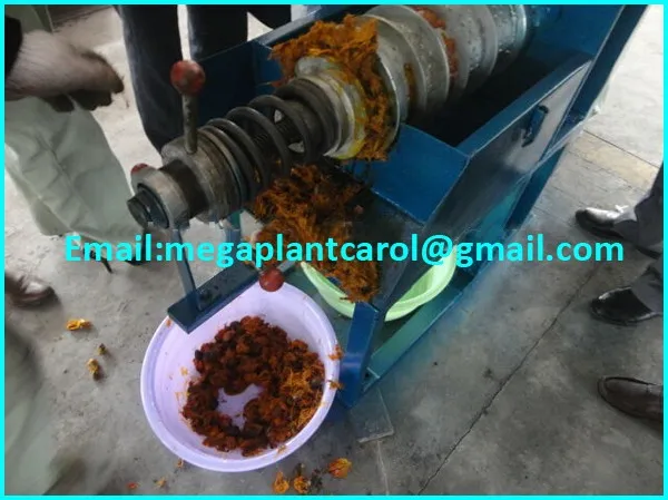 Sea buckthorn oil extraction machine Plam Fruit Oil Press Machine with Diesel Engine