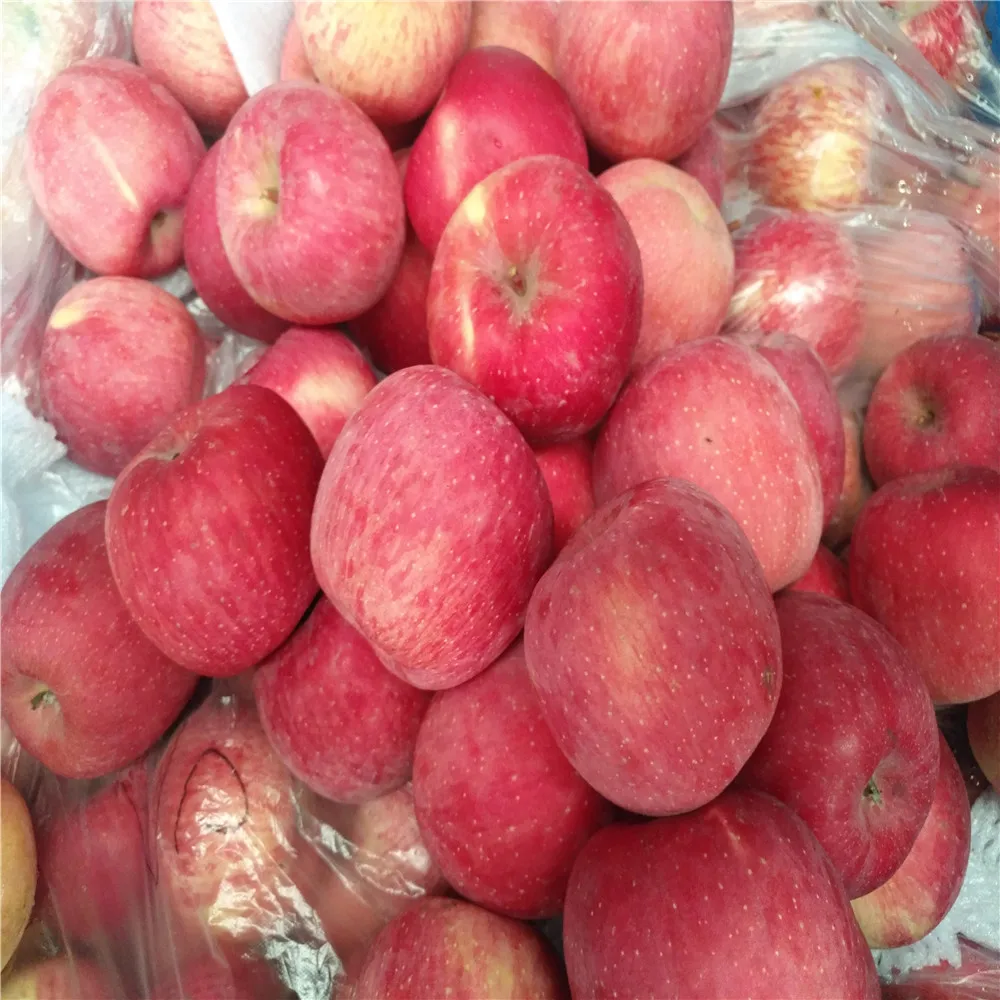 
wholesale fresh apples export to Dubai 
