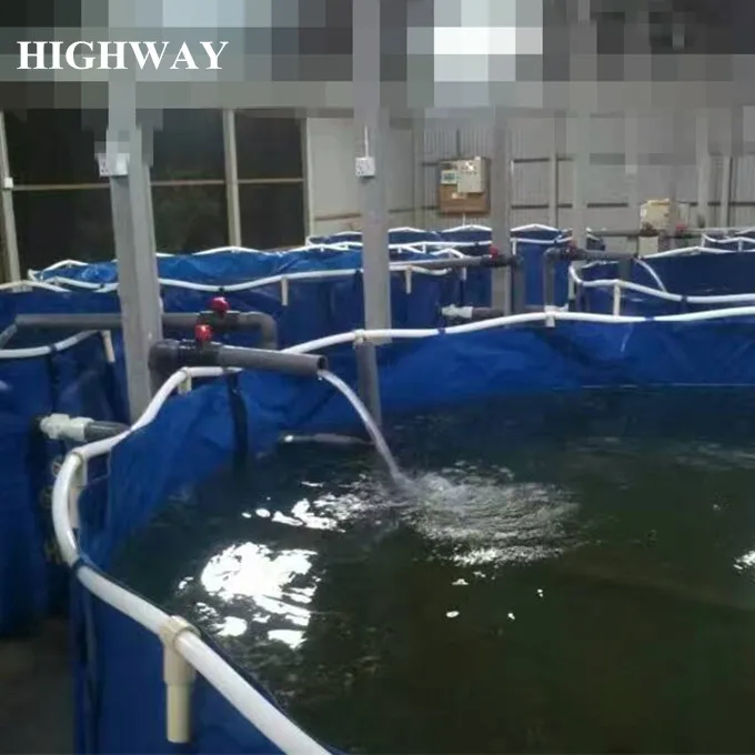 PVC canvas circle or rectangular collapsible aqua culture tank