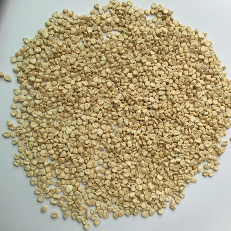 High Yield Chinese Hybrid Bulk Incredible Sweet Corn Seed For Cultivation