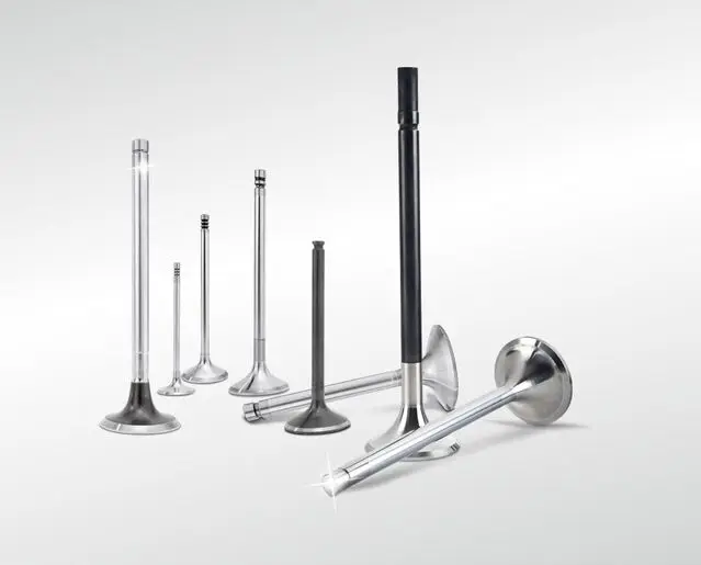 STOCK OE 2221103000 2221103201 впускной клапан 2221203000 2221203201 выпускной клапан для Eng L2K G4LA