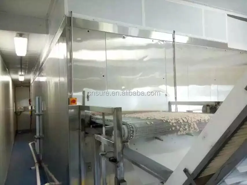 Fluidized Bed IQF Tunnel Freezer