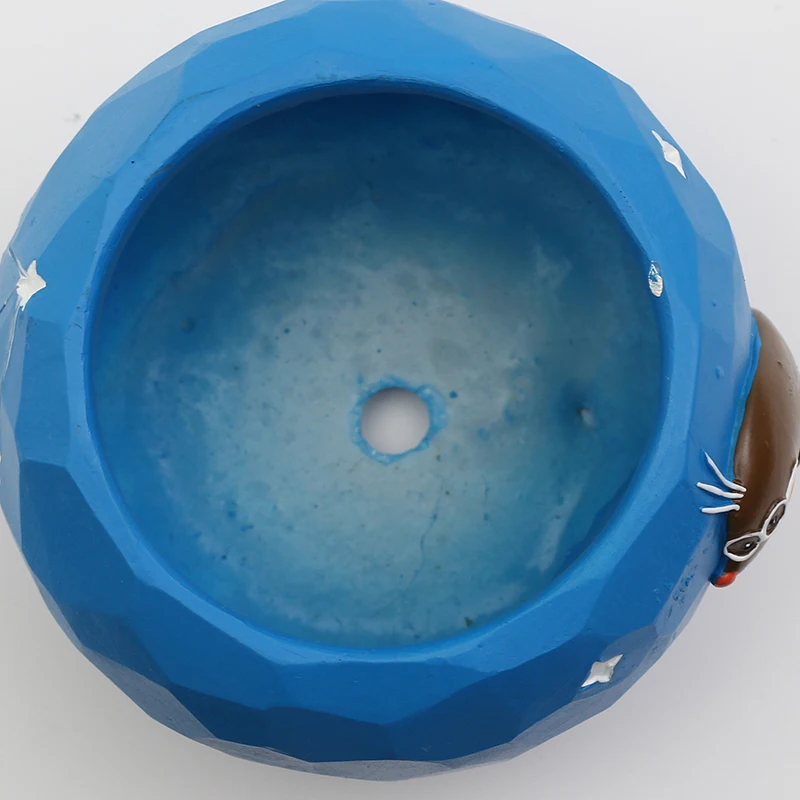 Roogo twelve constellations flower planter pots