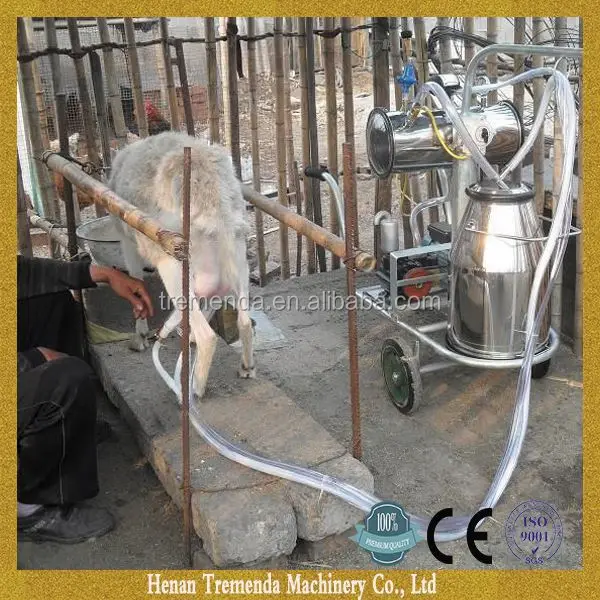 factory supply male milking machine for sale winning most customers