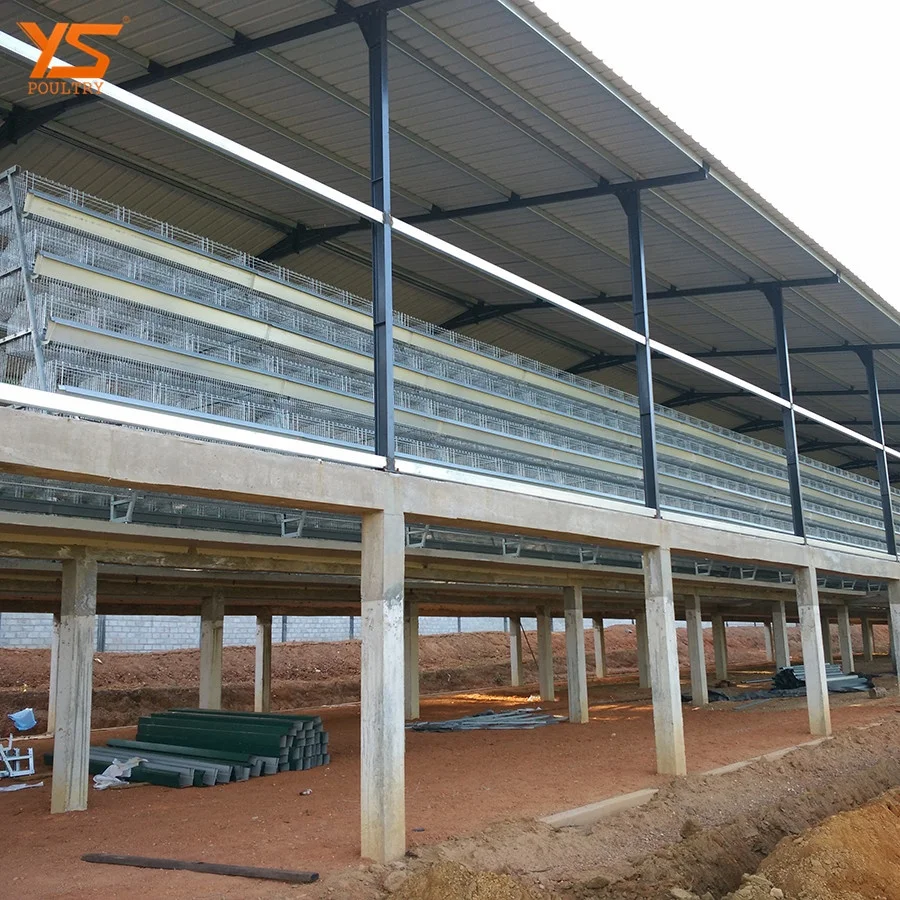 Battery Type A layer Egg Chicken Cage in Sri Lanka