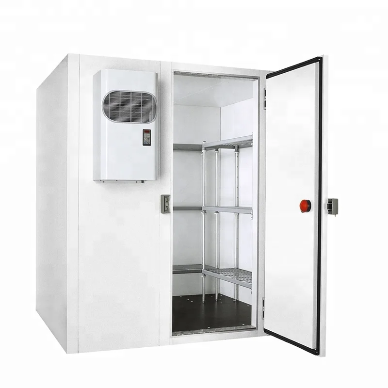 Promoting  food  Freezer Room Cold Storage  Room
