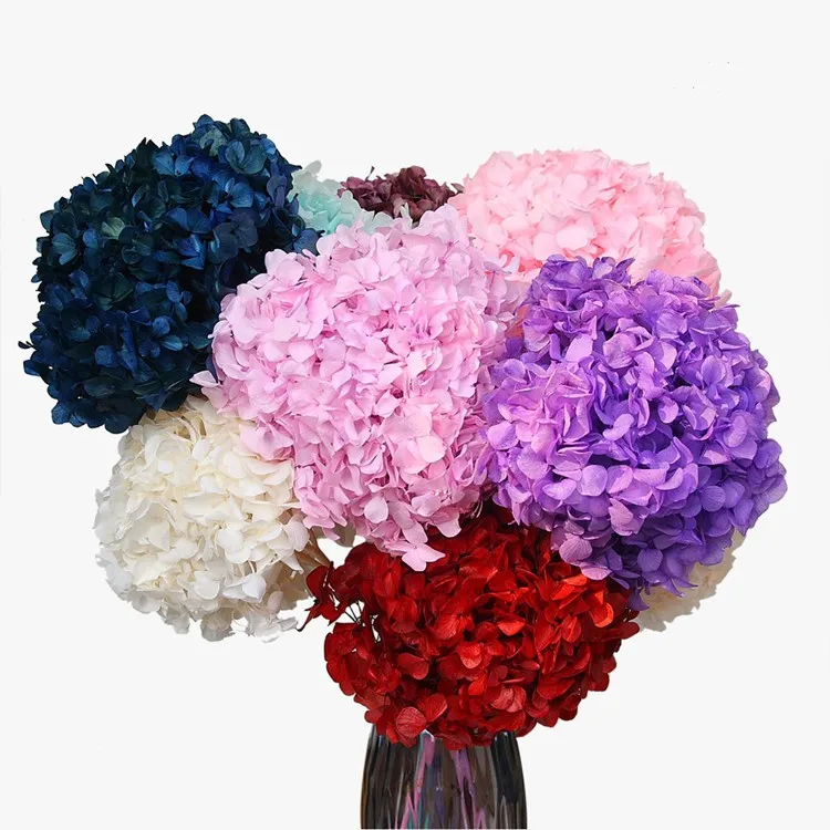 China factory supply Wholesale white and pink Hydrangea Flowers Real Touch Hydrangea hydrangea flower