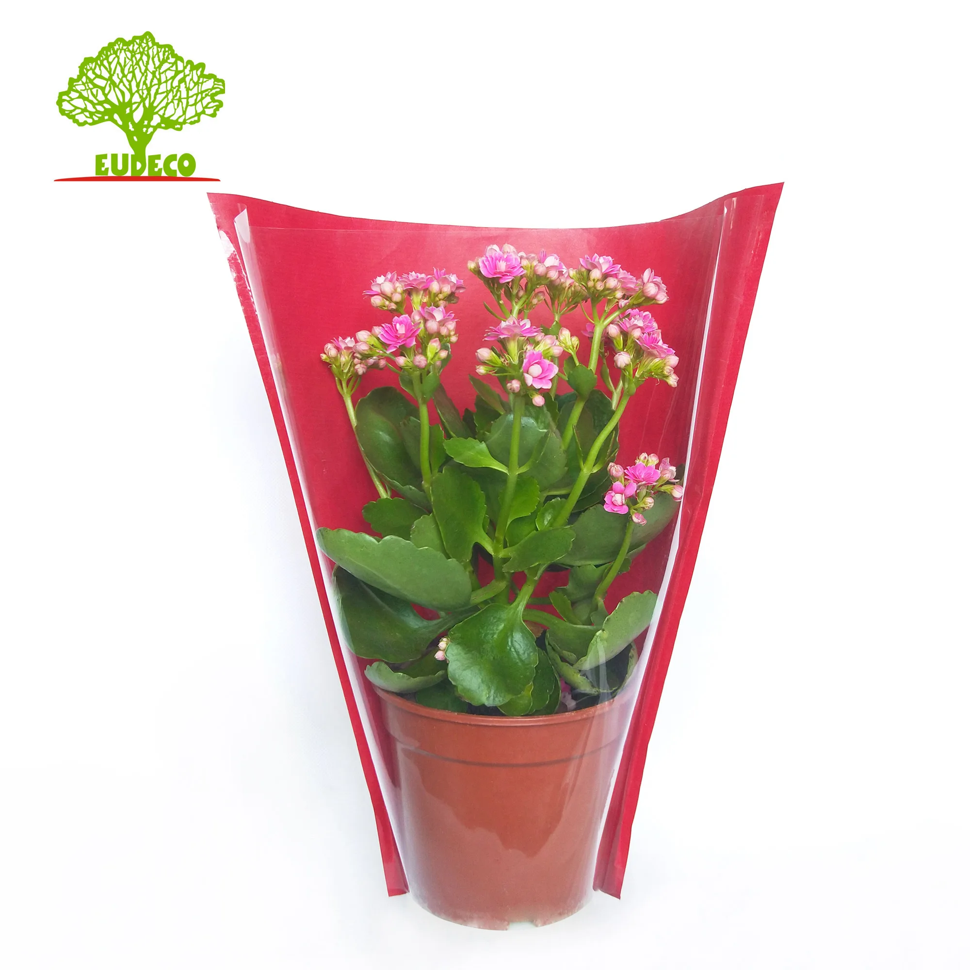 Plastic Fabric Packaging Bags for Plants Paper Flower Package Flower Packing Agriculture Disposable Pot Cover Spout Top Accept