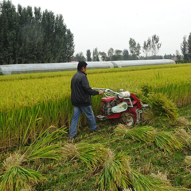 Self walking combine harvester sesame wheat rice repaer binder machine price in India