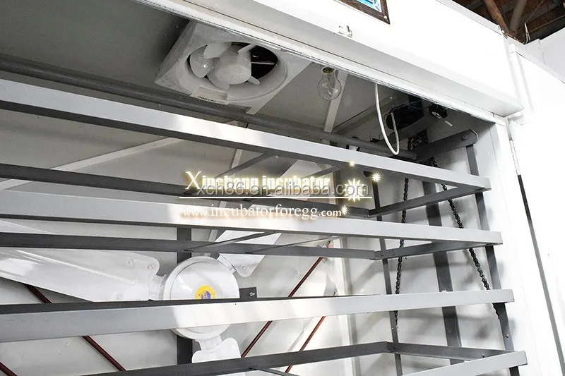 hatchery equipment and ostrich egg incubator for sale 1000 egg incubator incubator hatcher egg