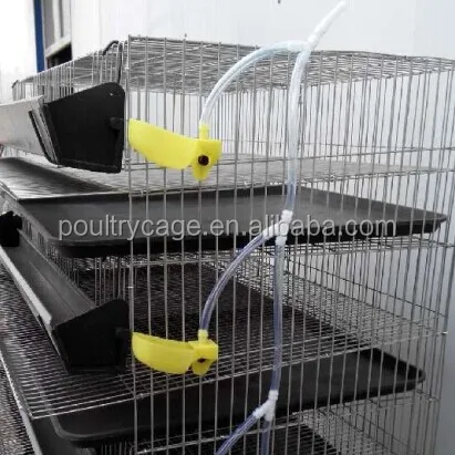 BAIYI Quail Cage For Sale ( A Type & H Type )