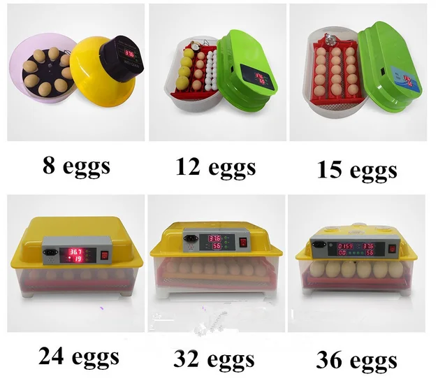 Cheap Mini 72 egg incubator Automatic ZH-72 mini egg incubator for sale in dubai