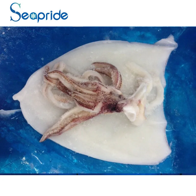 Sea food Frozen -fish whole squid