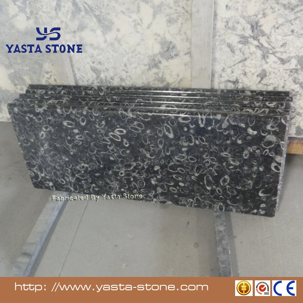 New Natural Stone Colour Black Seashell Granite Floor Tile