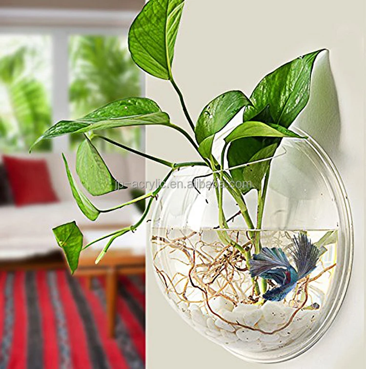 
Indoor Decorative Round Hanging Glass Acrylic Aquarium 