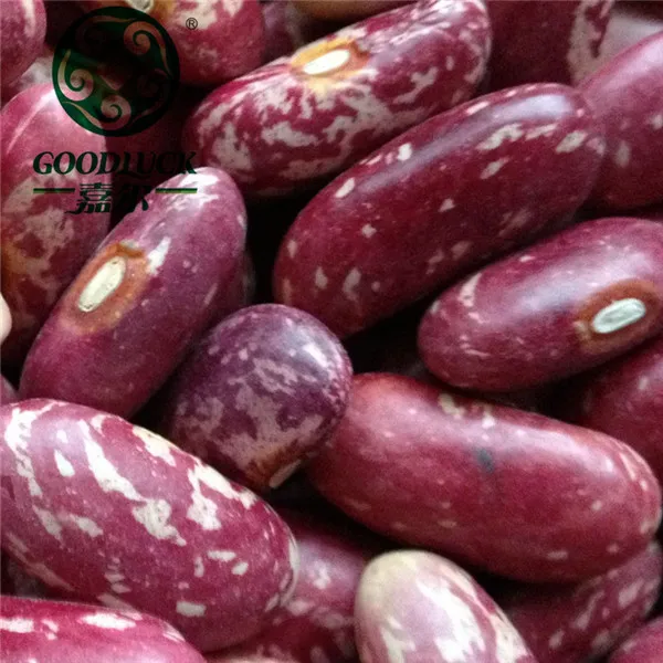 
Wholesale 2018 Crop Chinese 220-240 Red Speckled Kidney Beans RSKB Price 