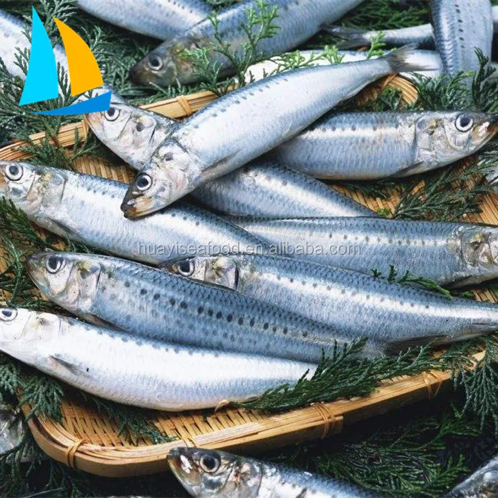 freeze dried fish whole round sardine fish Frozen Sardine