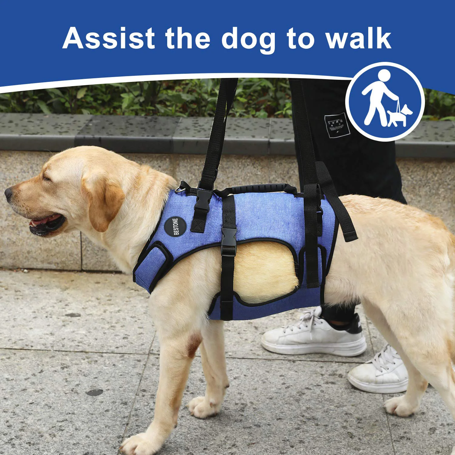 Breathable Straps Support Pet Rehabilitation Vest Dog Lift Harness Walking Recovery Sling  Soft Adjustable for Old Injured Puppy