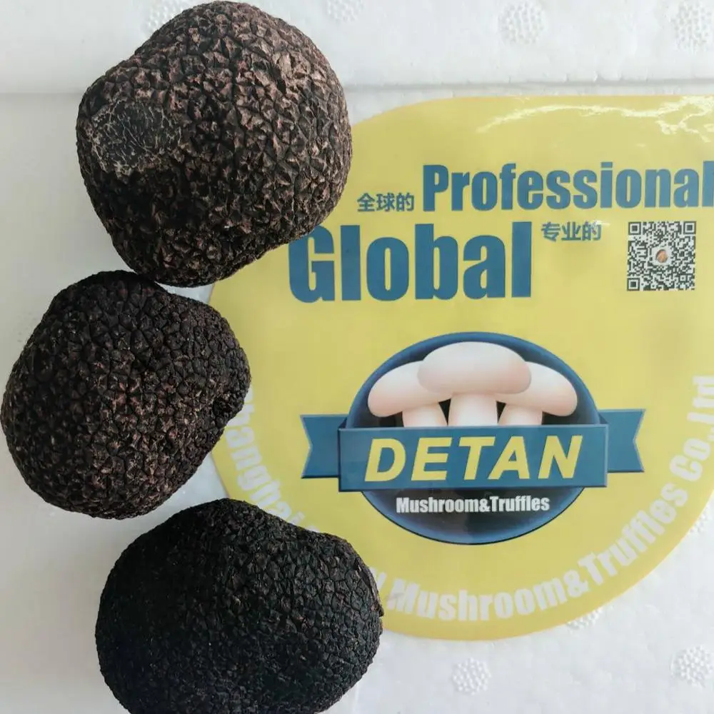 
Detan Fresh Black Truffle Mushroom Price 