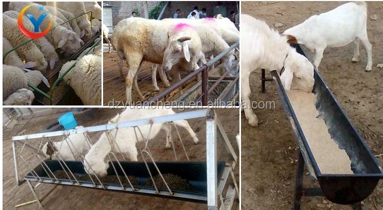plastic animal feeding trough for sheep