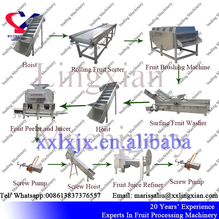 Производитель Китай питания От 2 до 3 лет/ч машины для ананас обработки