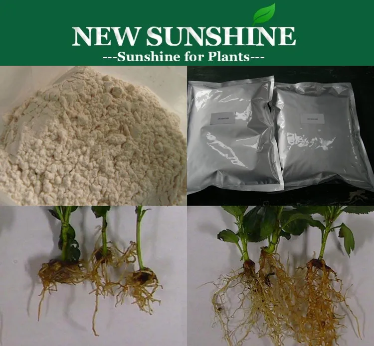 Plant Growth Regulator K IBA Rooting Hormone For Plants