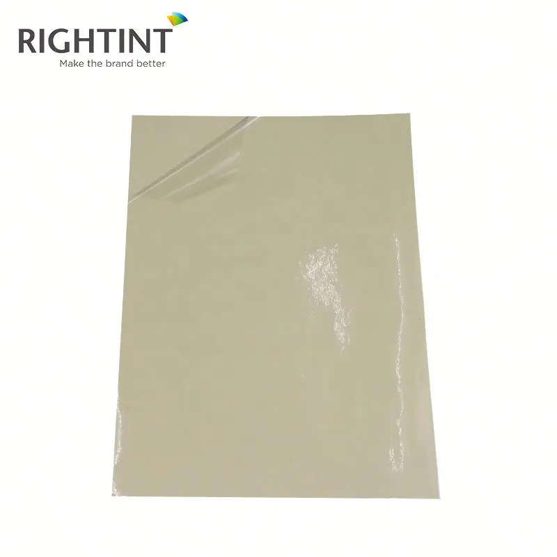 Adhesive Pet Film Self Adhesive Backed Mylar Sheets Metallized Film Decorative Film Transparent Sheet or Roll Casting Rigid