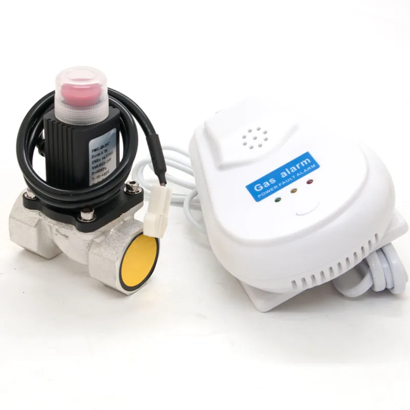 CE Support Natural Gas LPG Solenoid Valve