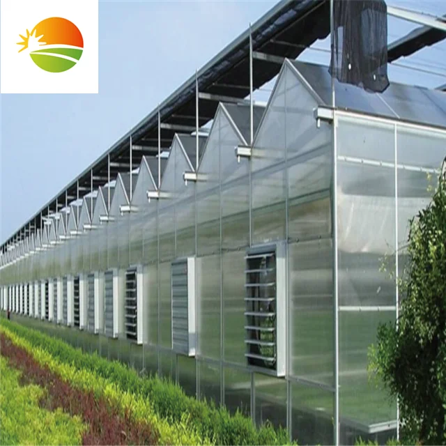 
Commercial multi-span PC sheet polycarbonate greenhouse with hydroponic system 