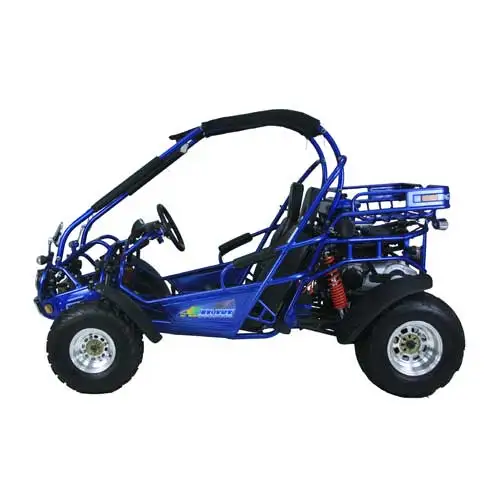 Off Road Beach Buggy 300cc Adventure Buggy