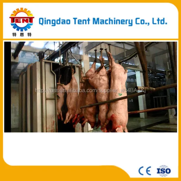 Good quality slaughter equipment line for pigs