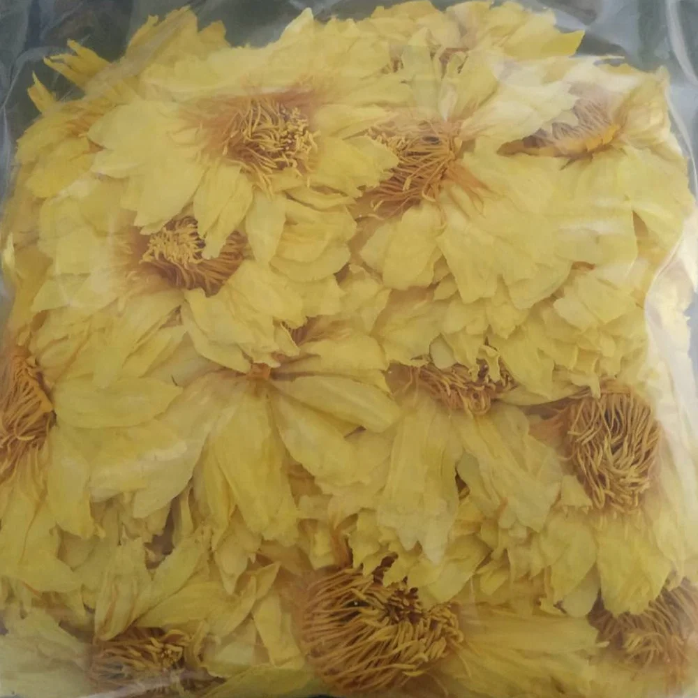 
Huang lian hua dried yellow lotus flower newest product hot sell yellow Lotus flower 