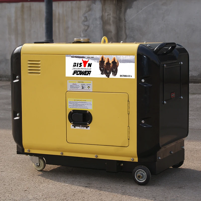 BISON(CHINA) Power 5 Kilowatt Portable Diesel Generator Price 10hp diesel generator set