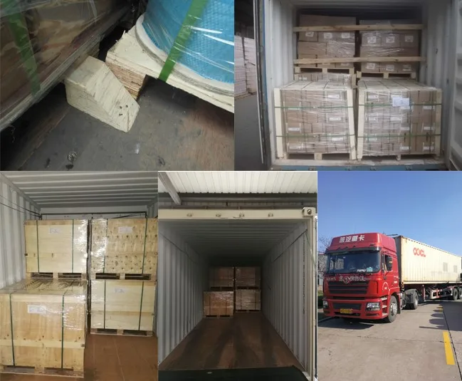 AISI 304 316 Stainless Steel Galvanized Carbon Steel Drop Forged Safety Anchor Shackles Screw Pin shackle