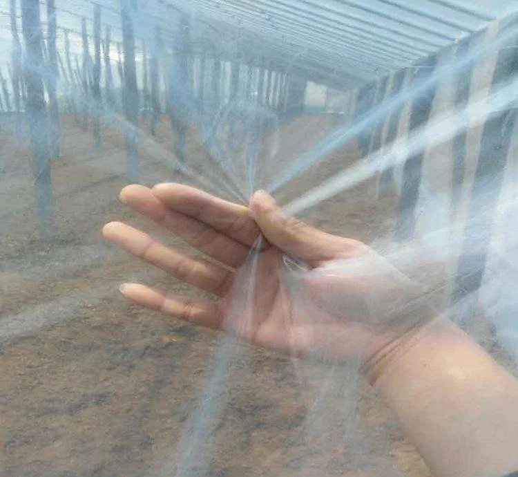 
200 micron UV resistant plastic film agriculture tunnel greenhouse 