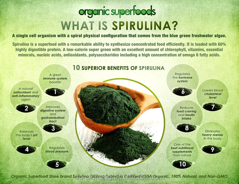 spirulina powder for animals feed, spirulina fish food