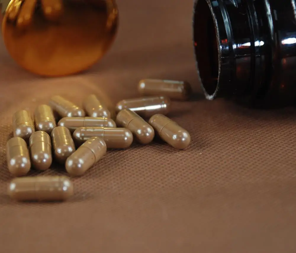 Лидер продаж, порошковые капсулы с семенами грибов Ganoderma Reishi Lingzhi