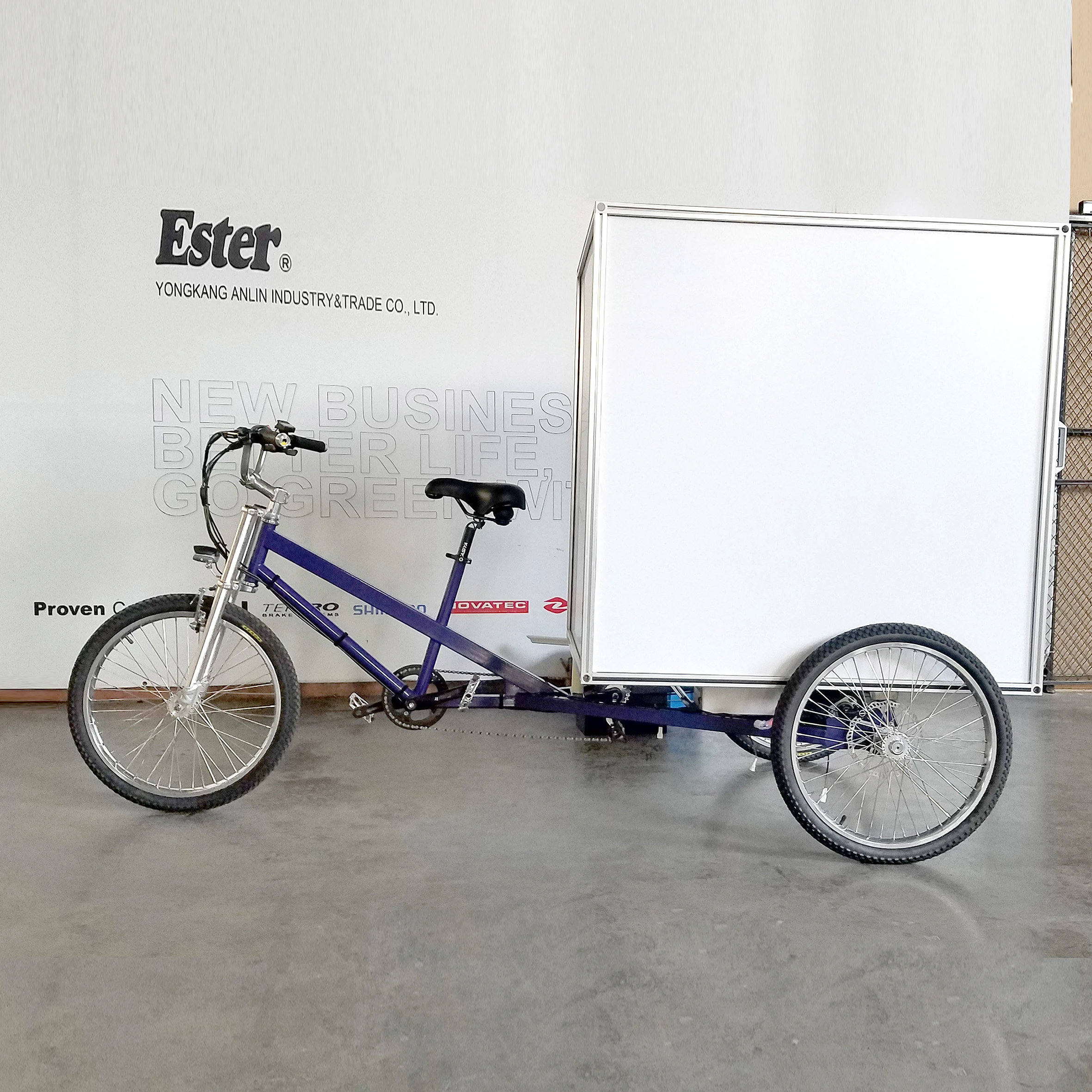 3 Wheels  Electric Cargo Trike for Adult