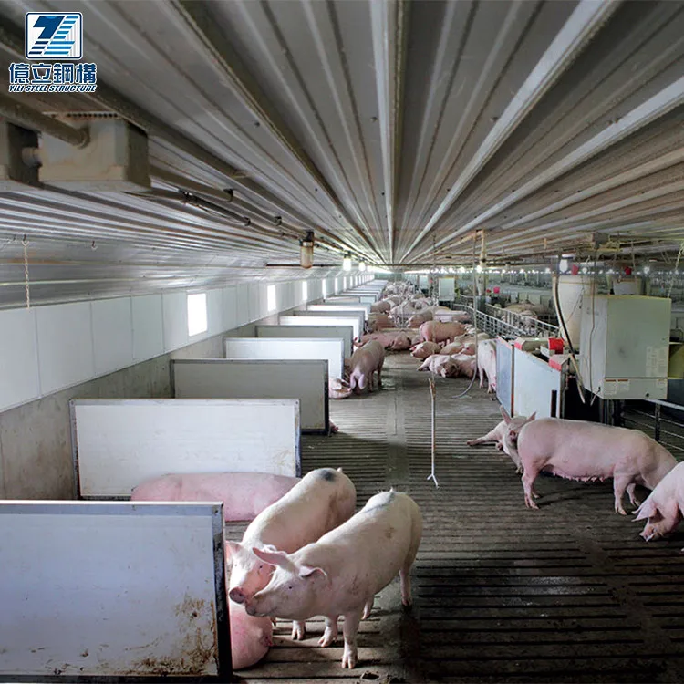 Сэндвич-панель высокой прочности большой емкости, стальная конструкция, свиноферма, дом