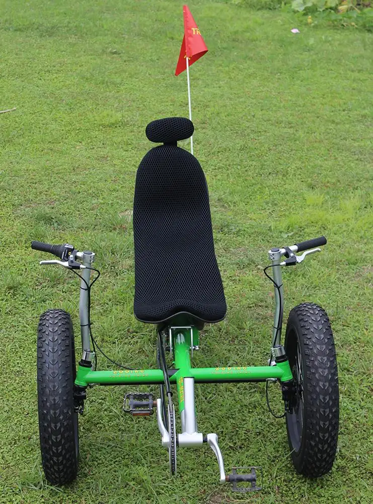 FREE SHIPPING door to door  CLASSIC pedal  Three wheel shock absorption folding thick tires snow beach version  Recumbent Trike