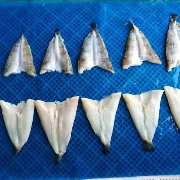 Supply Korea Market Frozen Cod Icefish Butterfly