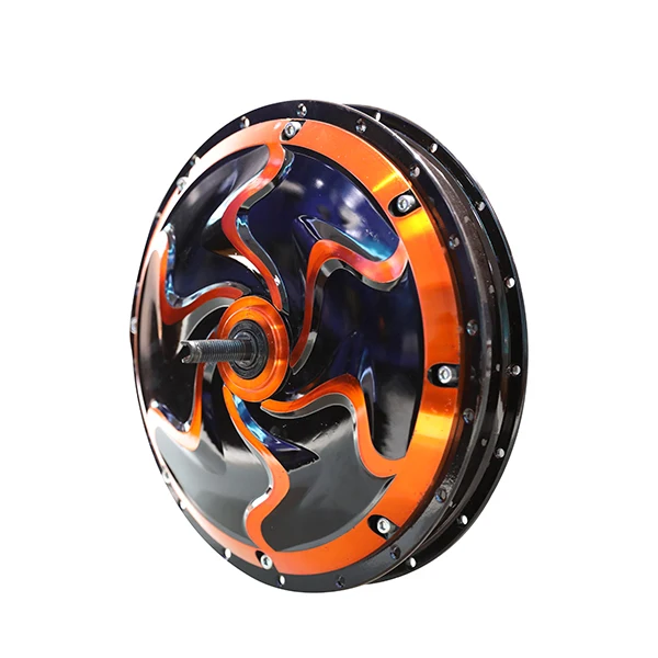 Electric hub motor for motorcycle