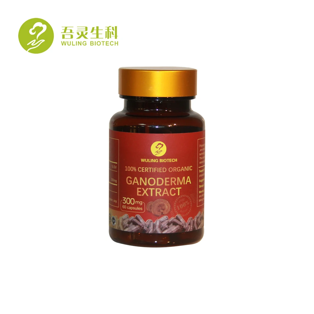 factory price ganoderma lucidum red reishi mushroom capsule lingzhi extract capsule