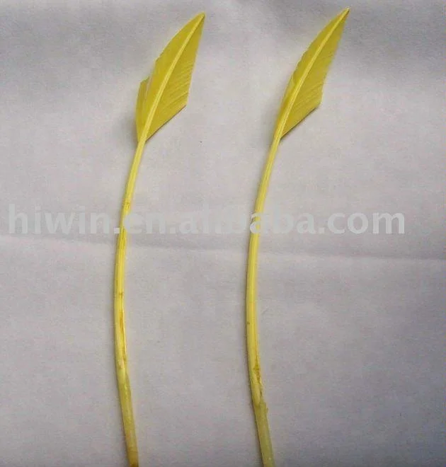 Turkey feather arrowhead