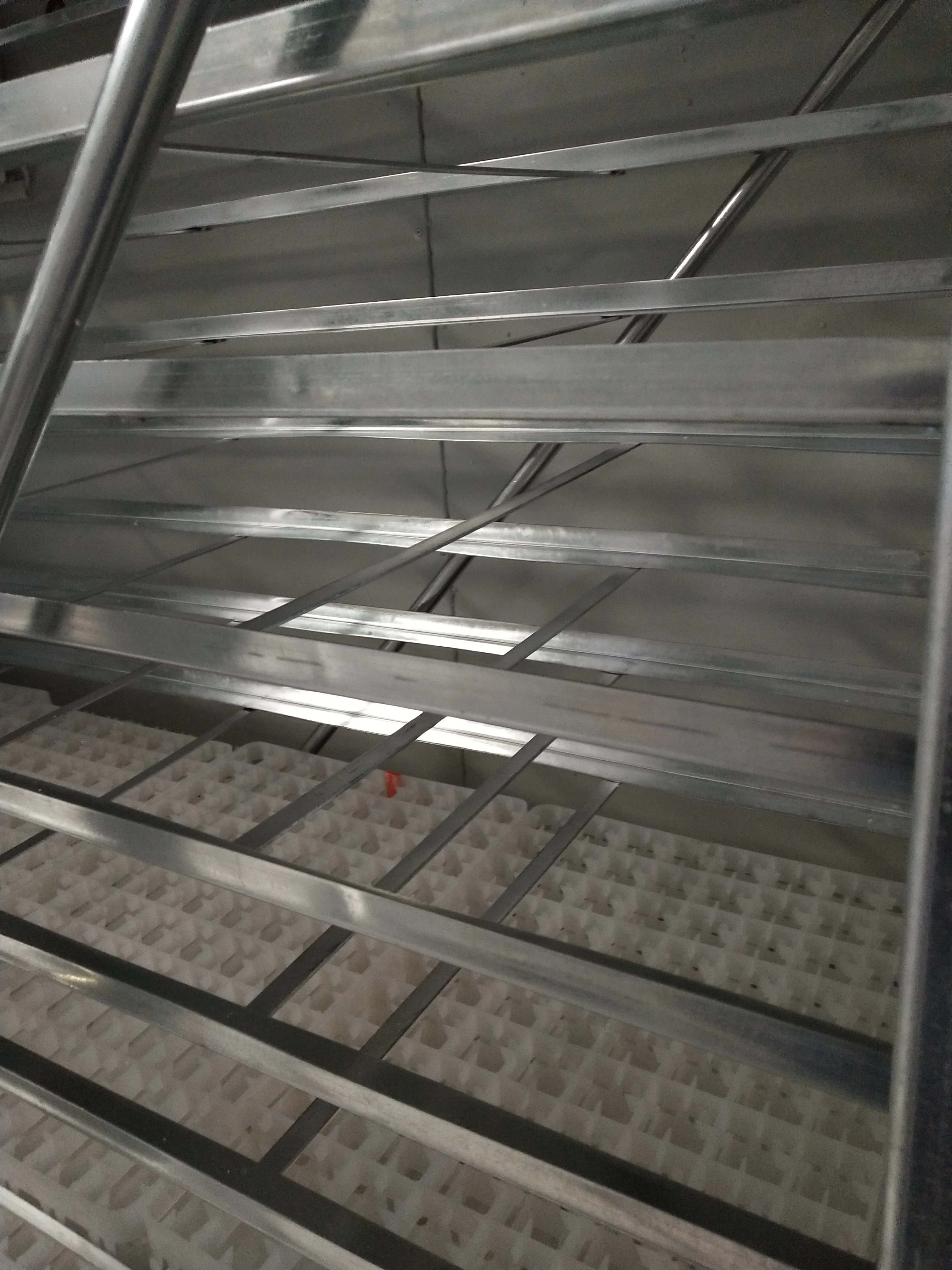 Factory sell Setter Hatcher Poultry Price Large Digital Fully Automatic Egg Incubator