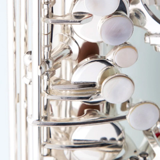 
Accept OEM Dasheng Music DSAS-711S Silver Alto Saxophone 