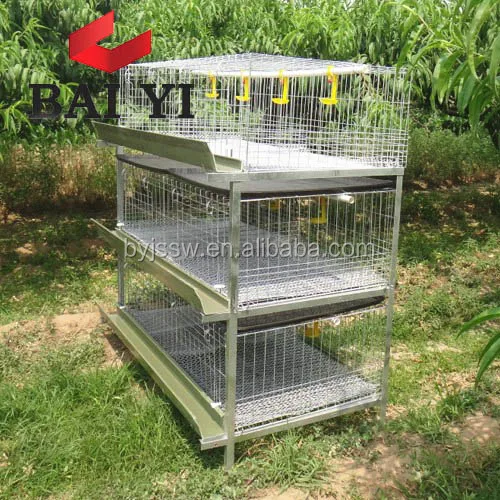 Chicken Farm Equipment Cage for Growing Broiler