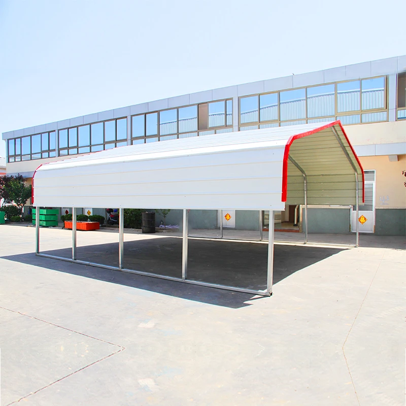 Carport Canopy Shelter