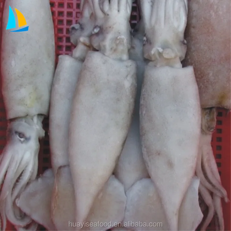 frozen seafood illex argentinus squid with Competitive Price